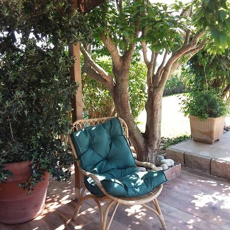 Magnifique Villa Piscine Propriano Olmeto  Exterior foto