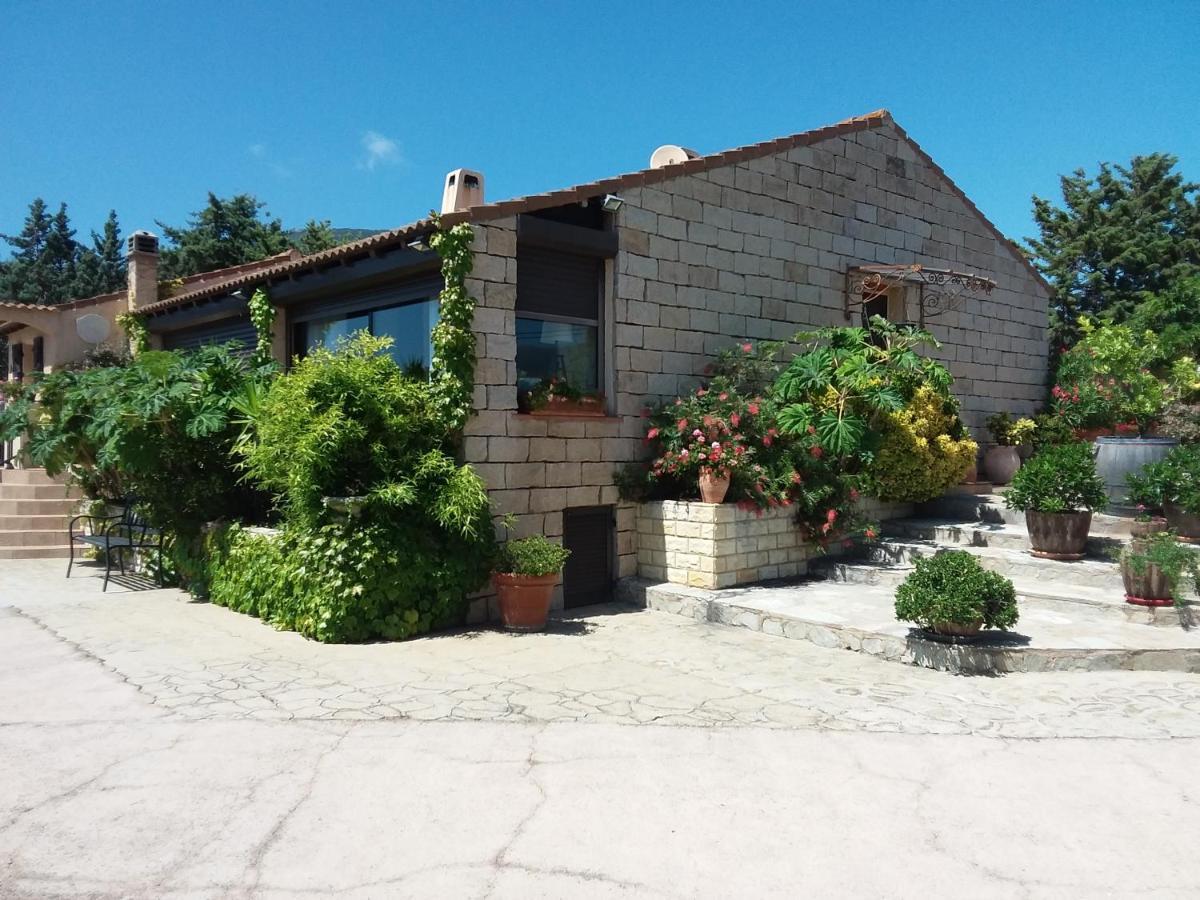 Magnifique Villa Piscine Propriano Olmeto  Exterior foto