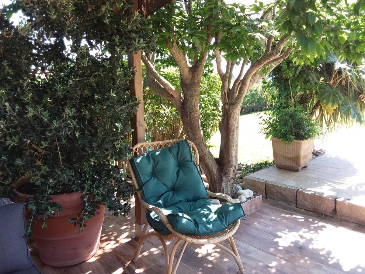 Magnifique Villa Piscine Propriano Olmeto  Exterior foto