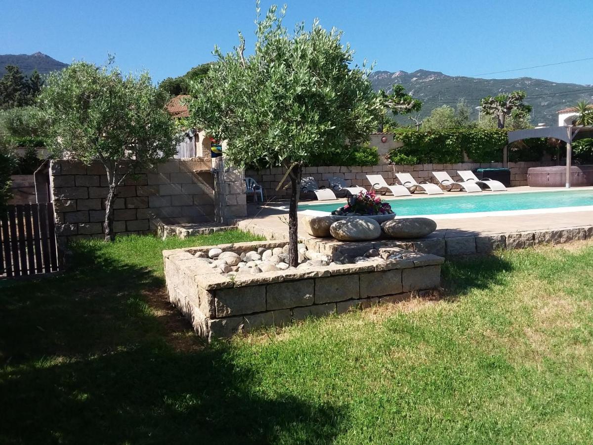 Magnifique Villa Piscine Propriano Olmeto  Exterior foto