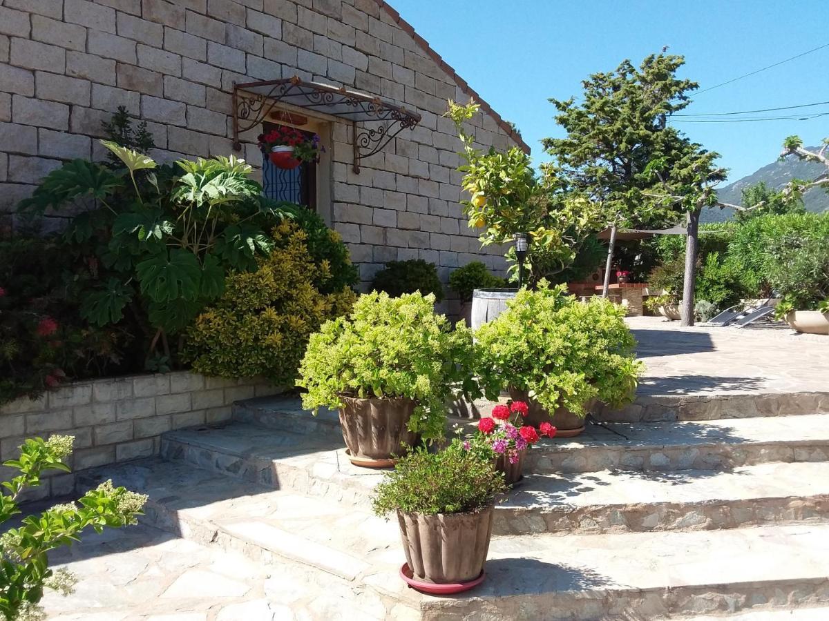 Magnifique Villa Piscine Propriano Olmeto  Exterior foto